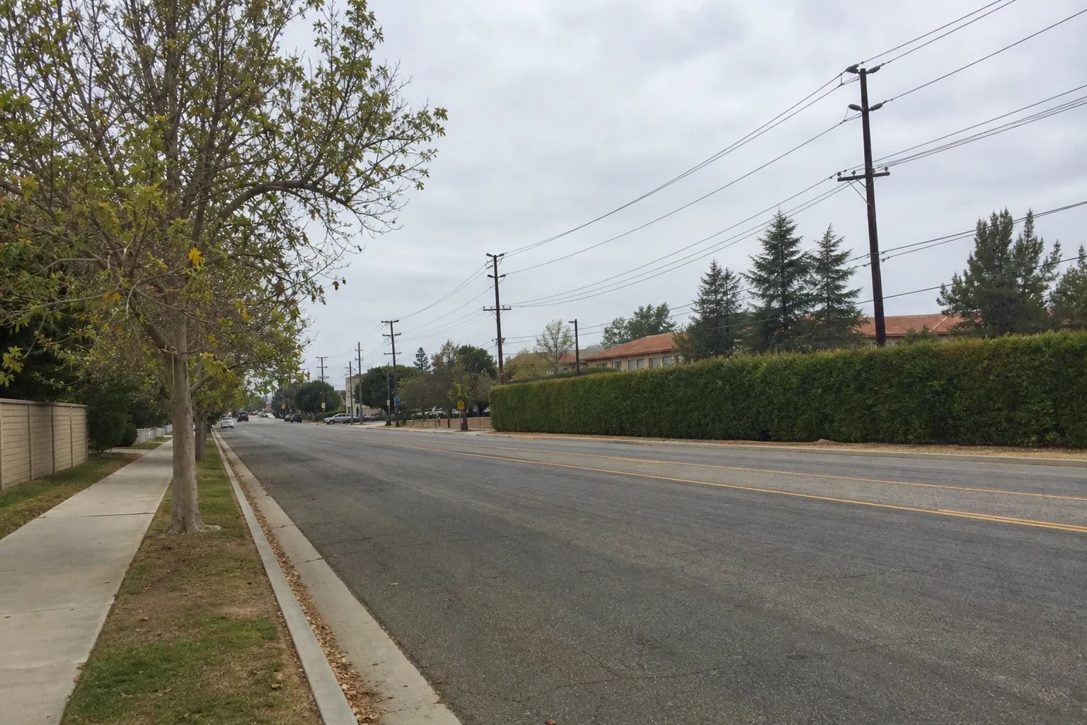 Quiet suburban road with a sidewalk, street trees, a tall hedge, utility poles, and tile-roofed buildings under an overcast sky